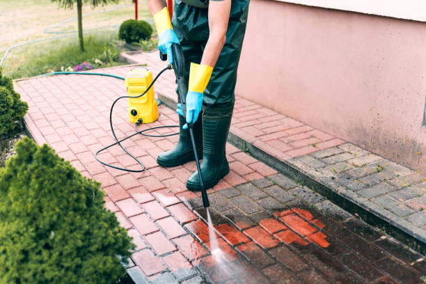 Best Animal Enclosure Cleaning  in Somonauk, IL